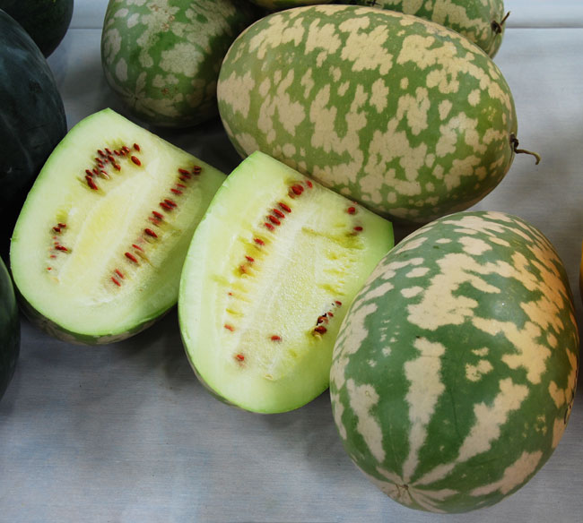 citron_watermelon